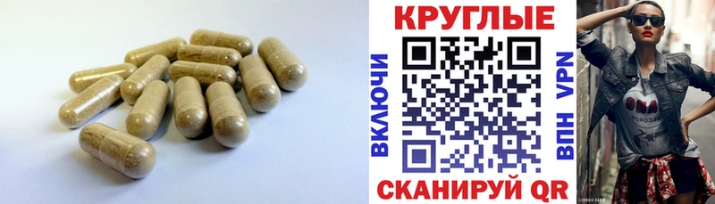 дарнет шоп  Малгобек  нарко площадка наркотические препараты  Экстази TESLA 