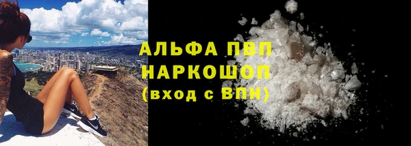 прущие грибы Лихославль