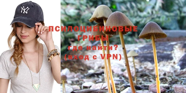 бошки Лиски