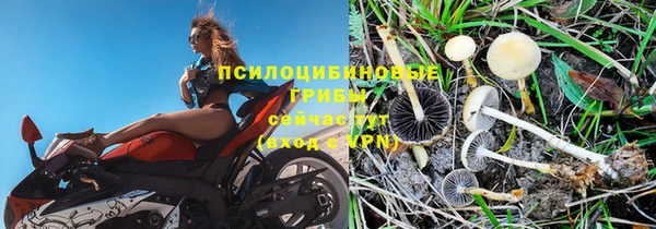 гидропоника Калининец