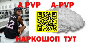 герыч Кингисепп