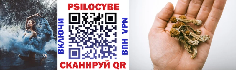 Галлюциногенные грибы прущие грибы где купить наркоту Малгобек