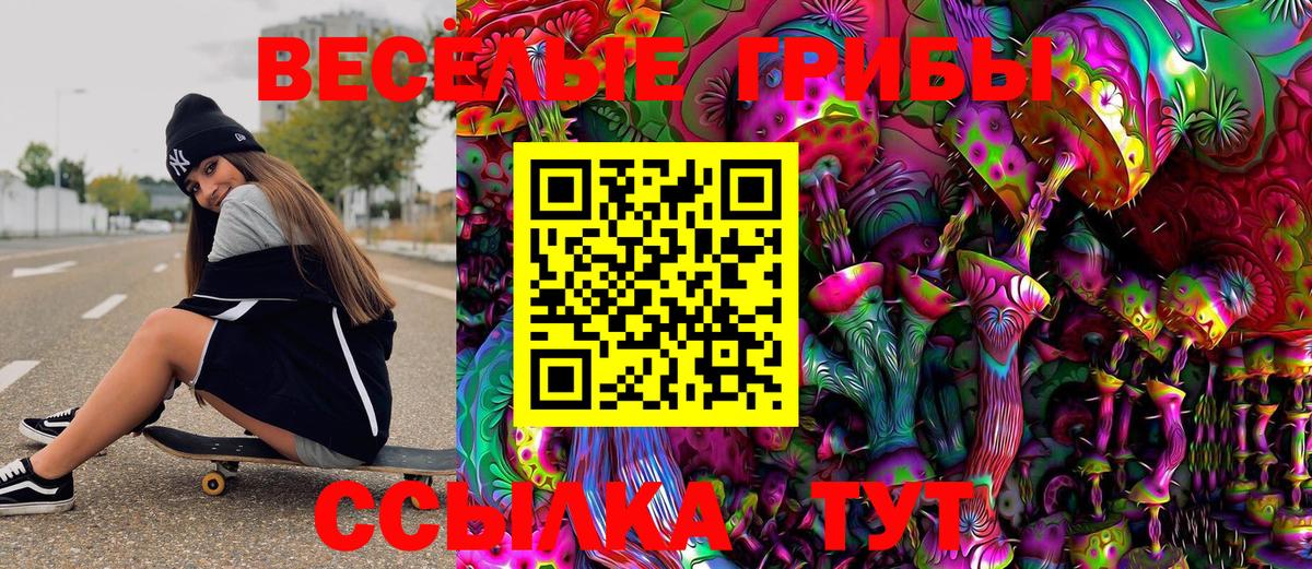 Галлюциногенные грибы Psilocybine cubensis Малгобек
