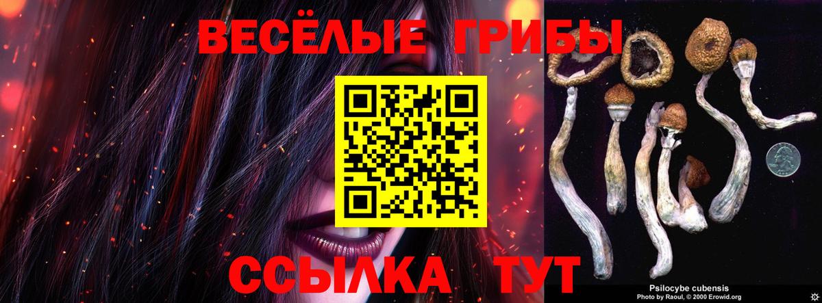 Псилоцибиновые грибы Magic Shrooms  Вход с VPN  Малгобек 